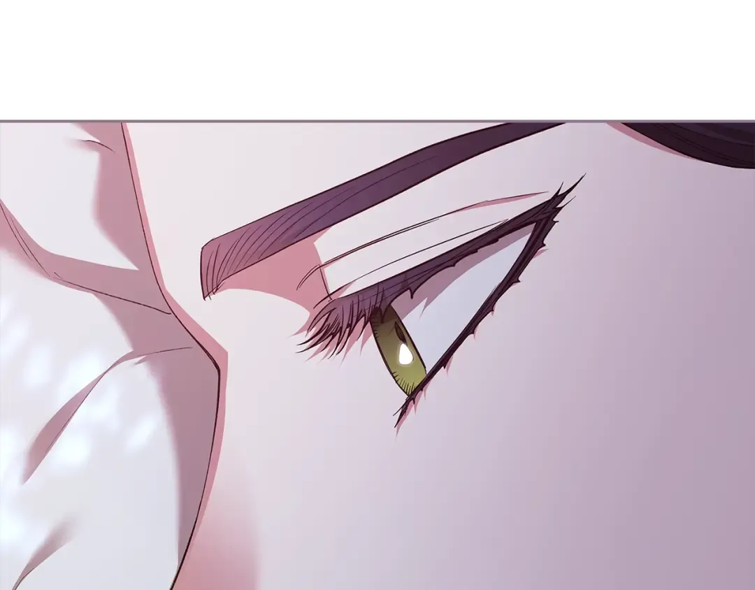 第88话 致我生命中的太阳 第105页