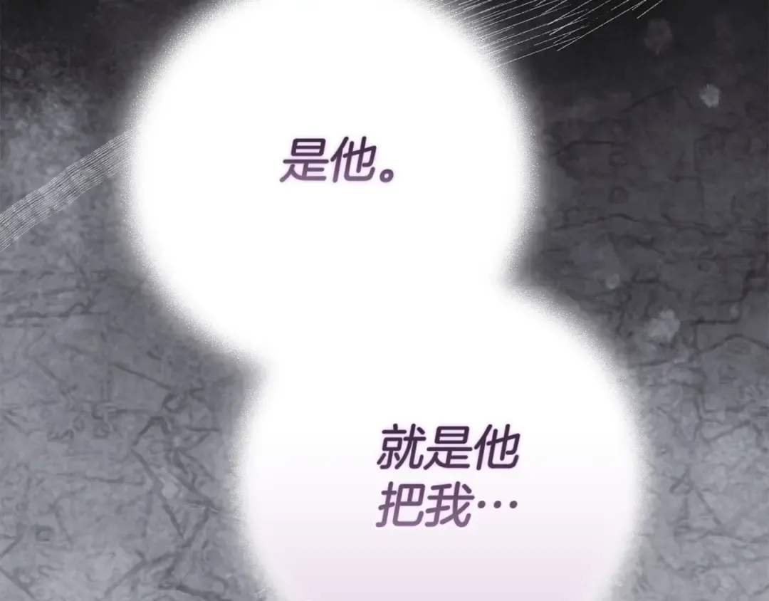 第95话 似乎是不错的选择 第162页