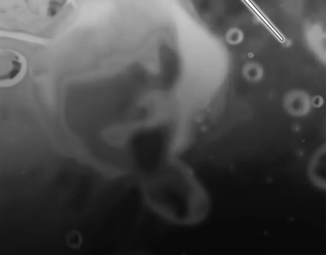 第101话 离婚的理由 第170页