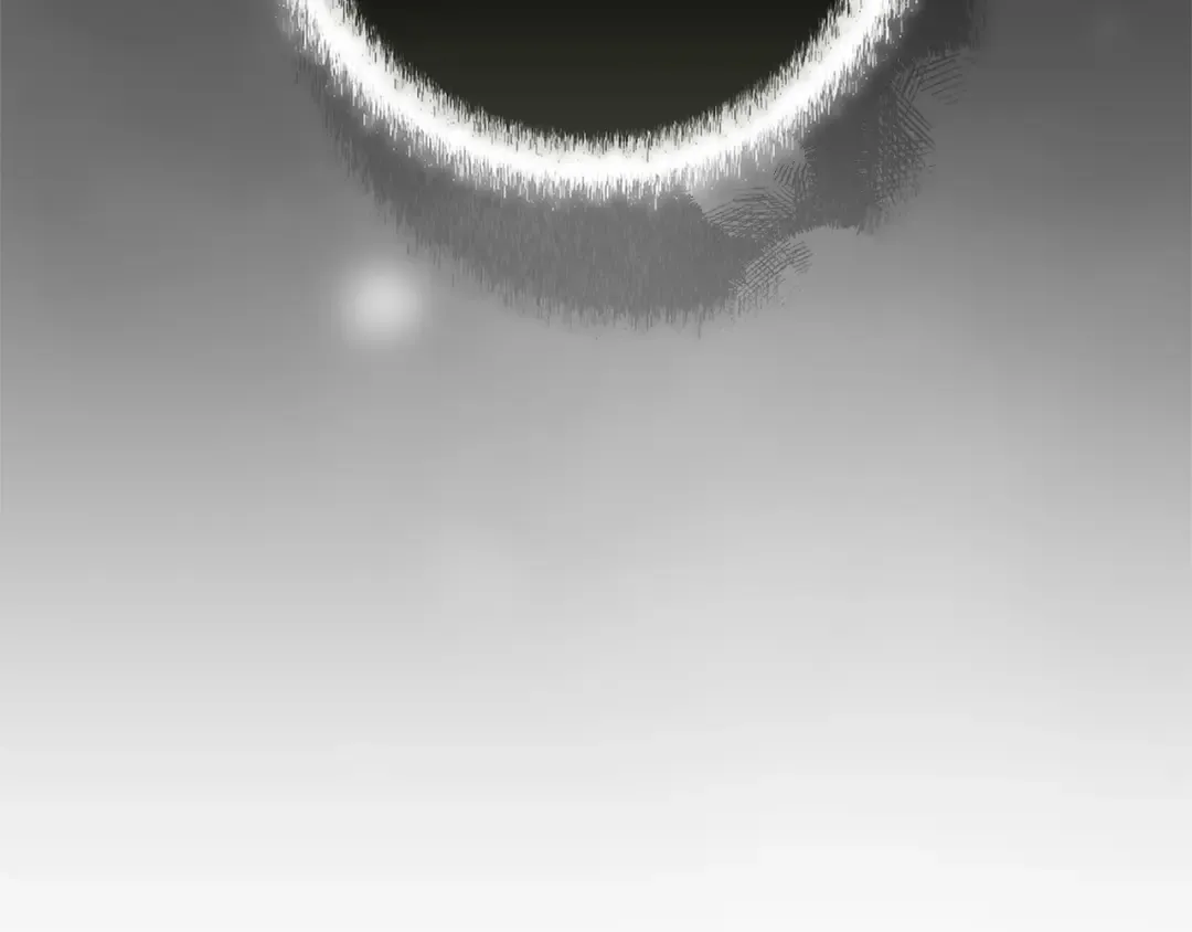 第109话 生命中的太阳 第79页