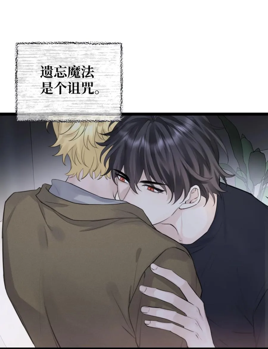 049 遗忘魔法的诅咒 第2页