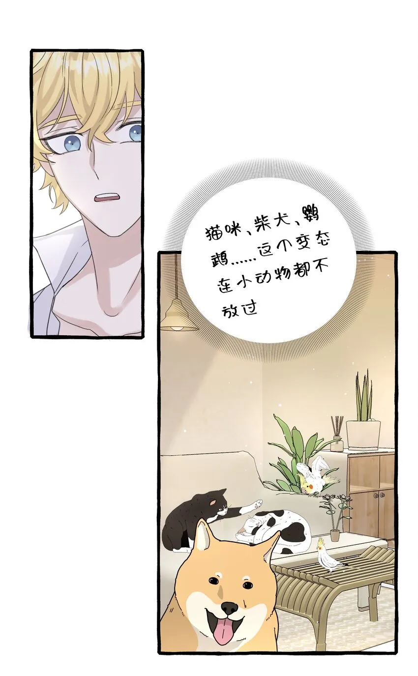 016 这次轮到你了 第7页