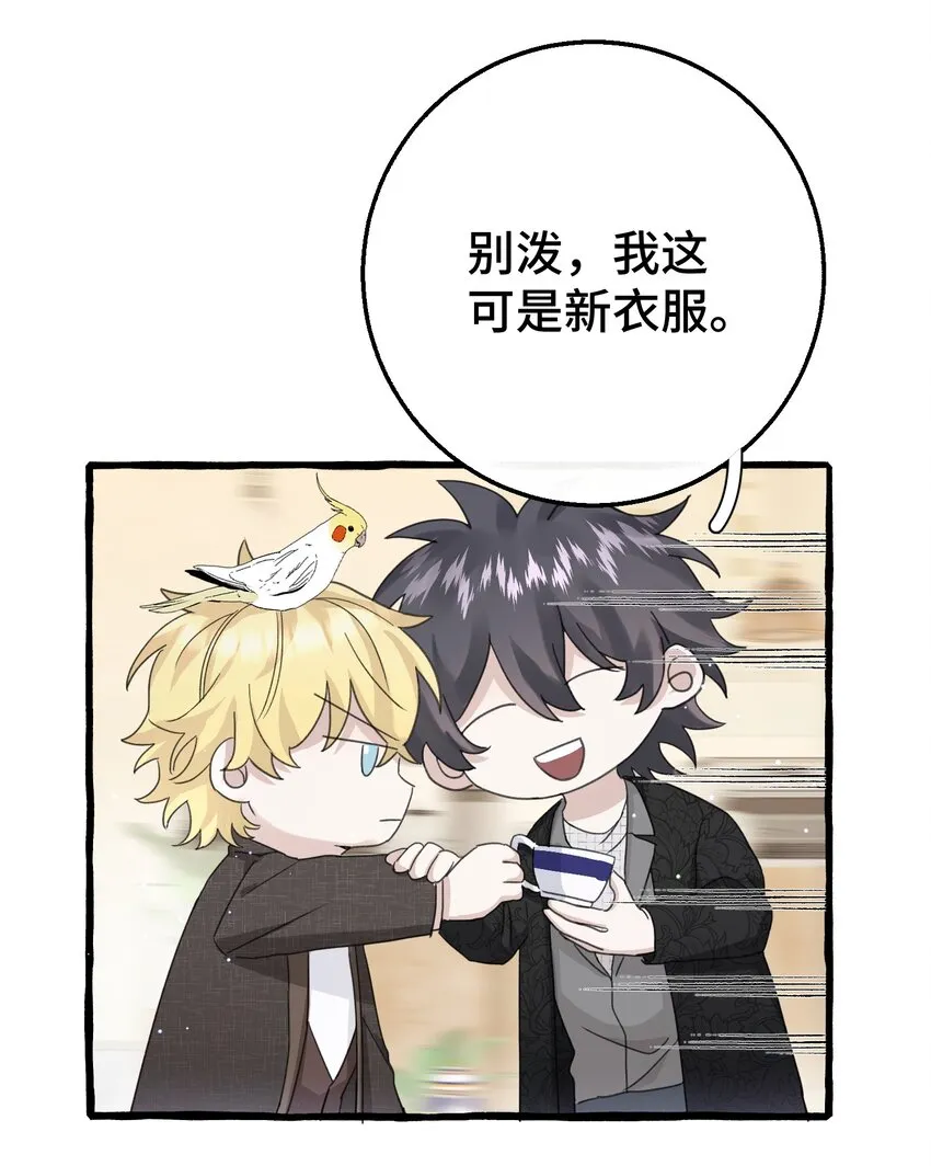 016 这次轮到你了 第11页