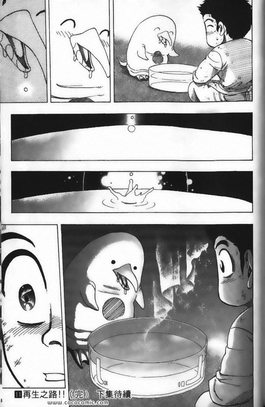 第11卷 第193页