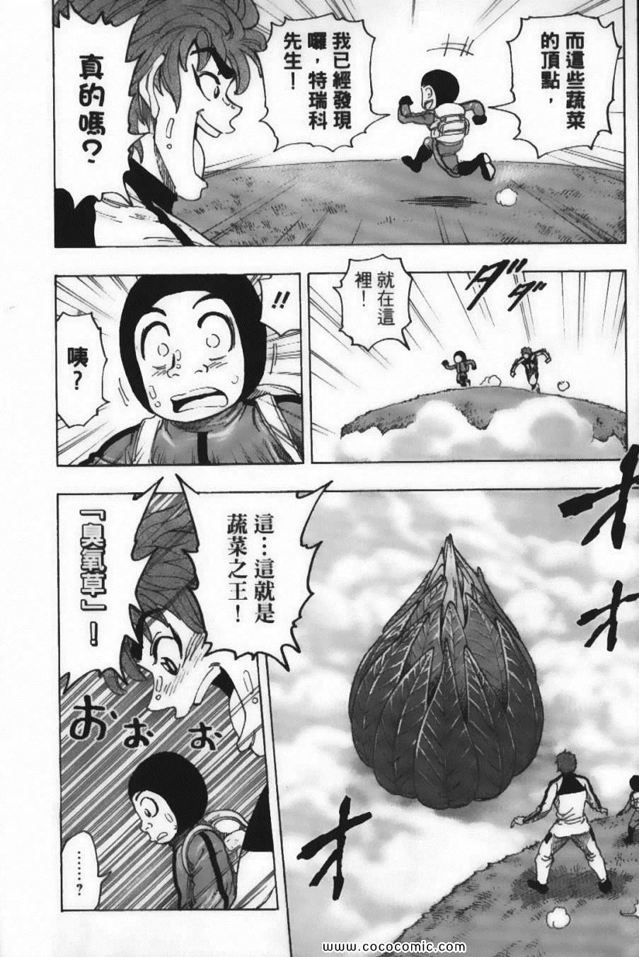 第13卷 第13页