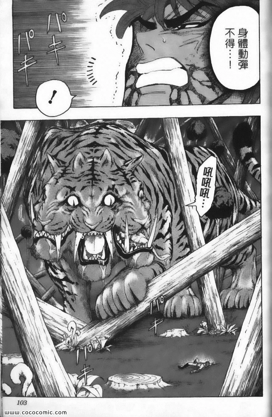 第13卷 第106页