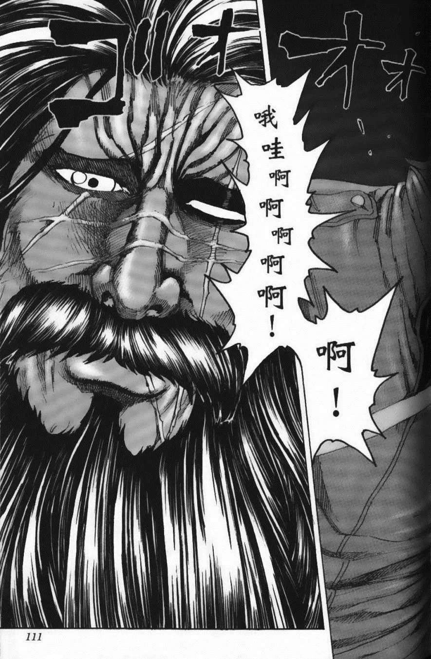 第14卷 第113页