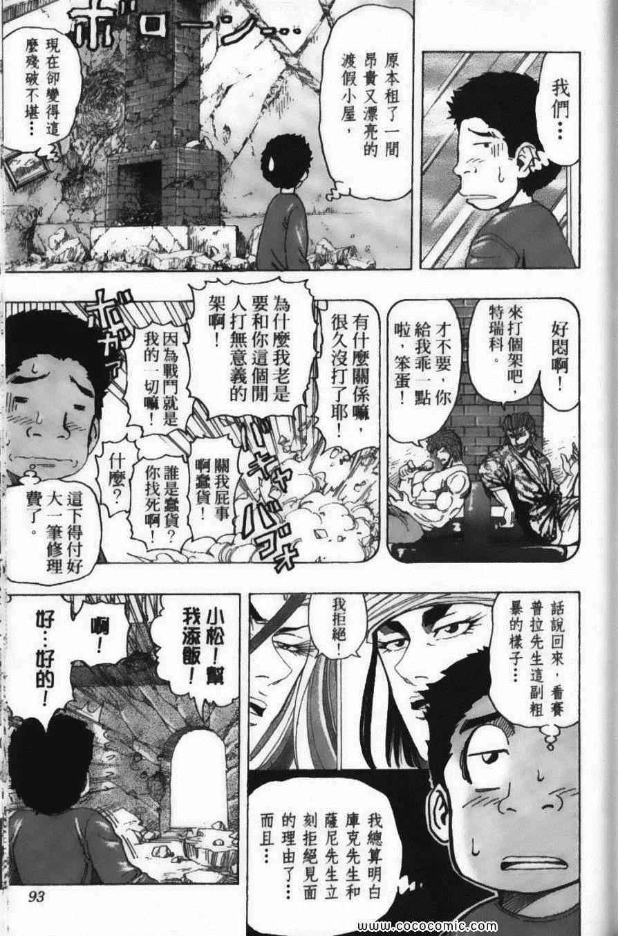 第15卷 第95页