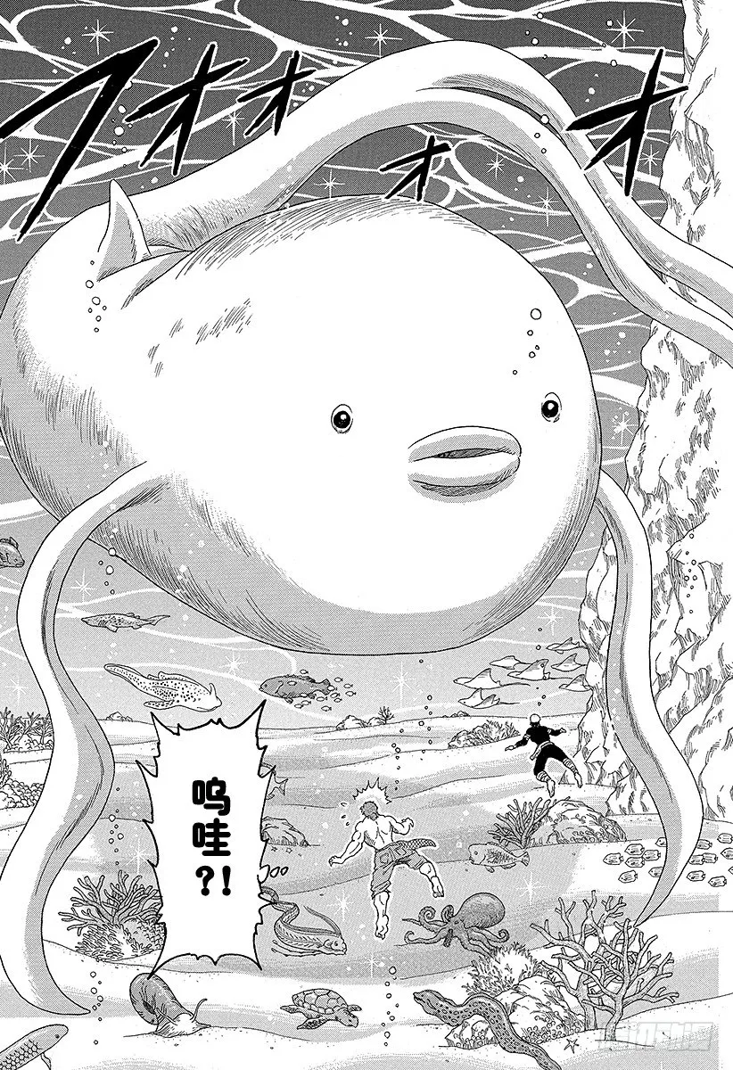 第15话 河豚鲸！！ 第14页