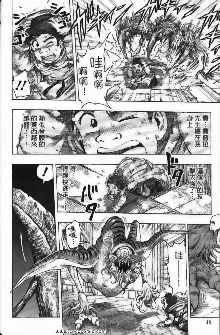 第16卷 第20页