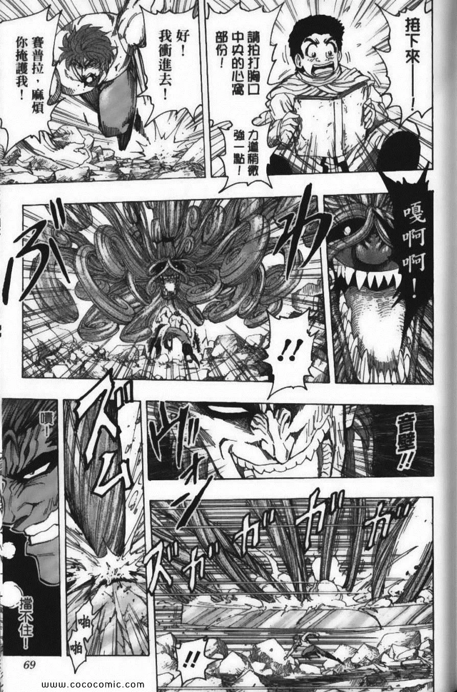 第16卷 第71页