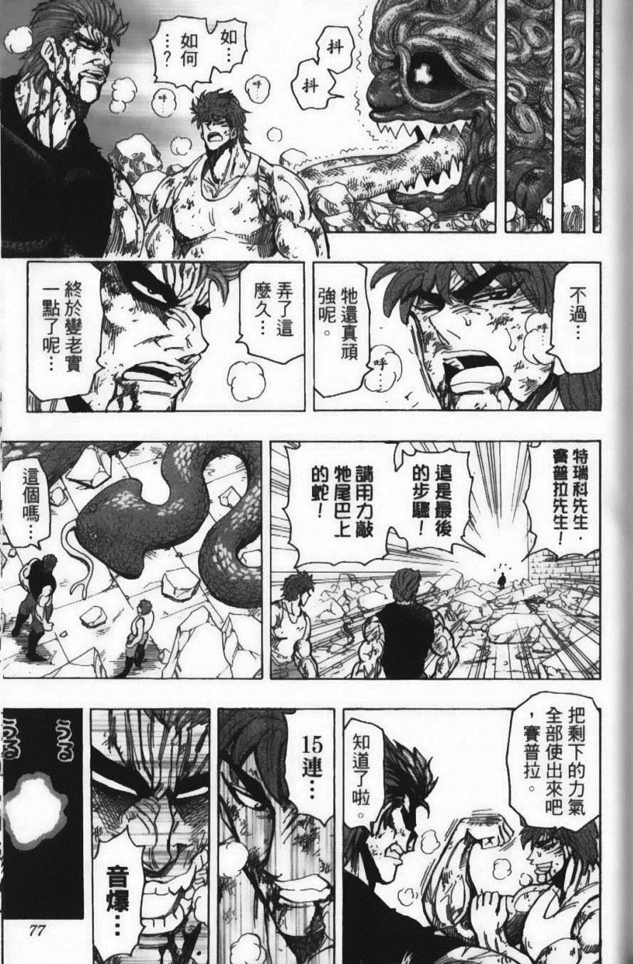 第16卷 第79页