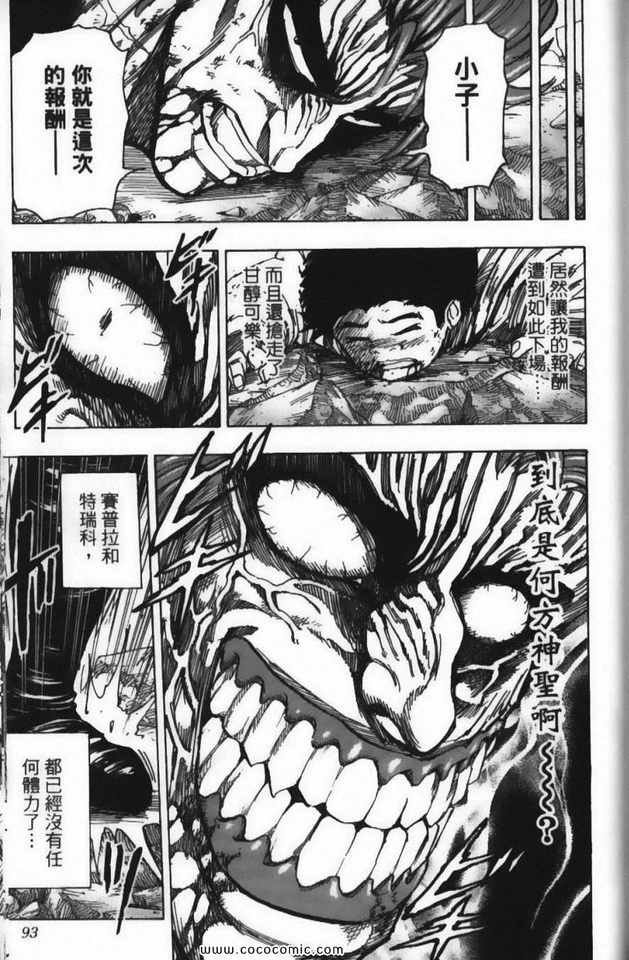 第16卷 第95页