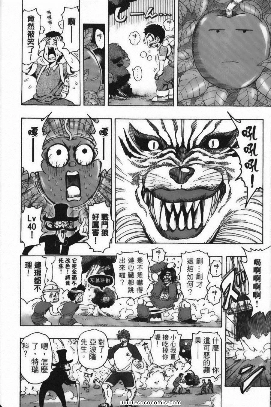 第17卷 第48页