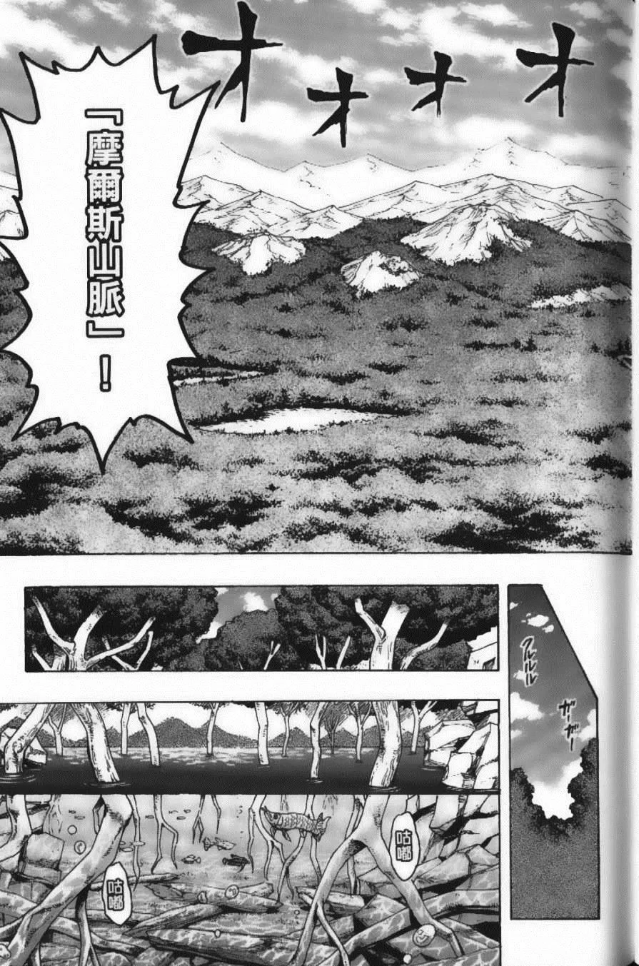 第17卷 第97页