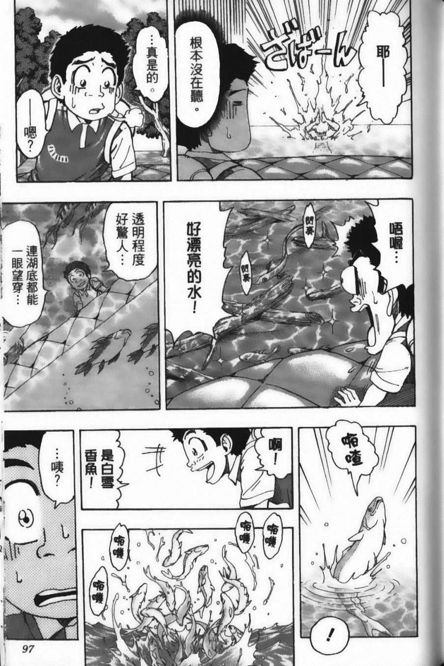 第17卷 第99页