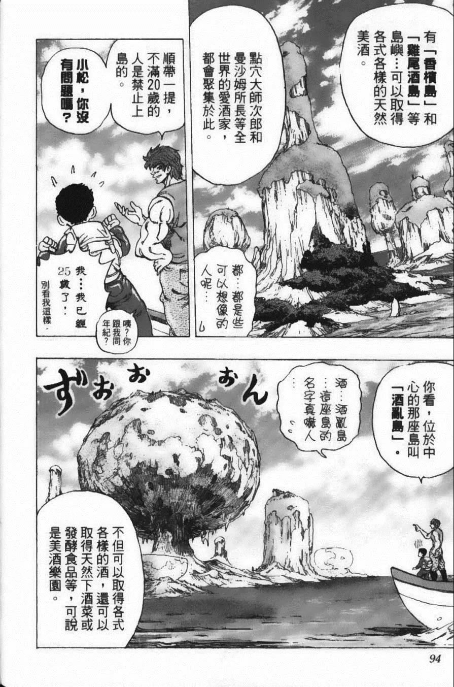 第20卷 第96页