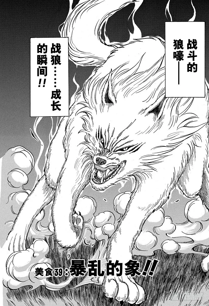 第39话 暴乱的象！！ 第3页