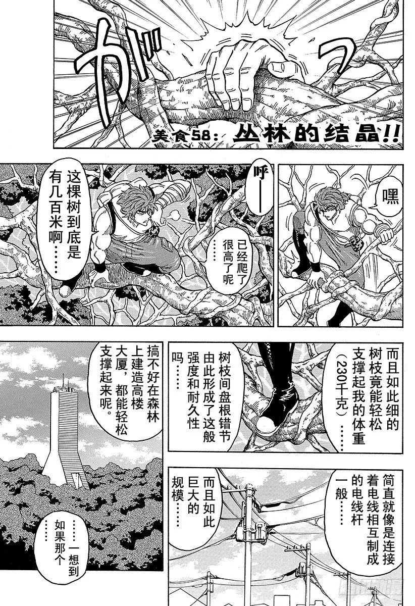 第58话 丛林的结晶！！ 第1页