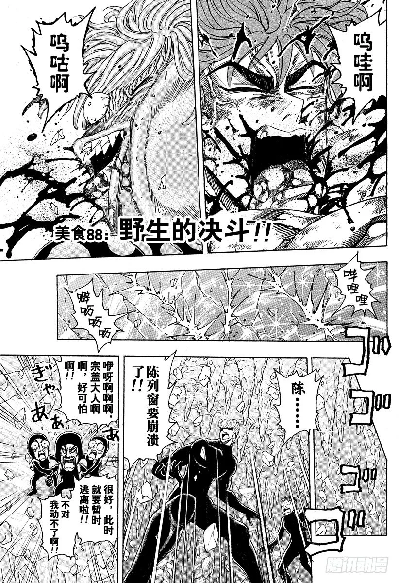 第88话 野生的决斗！！ 第1页