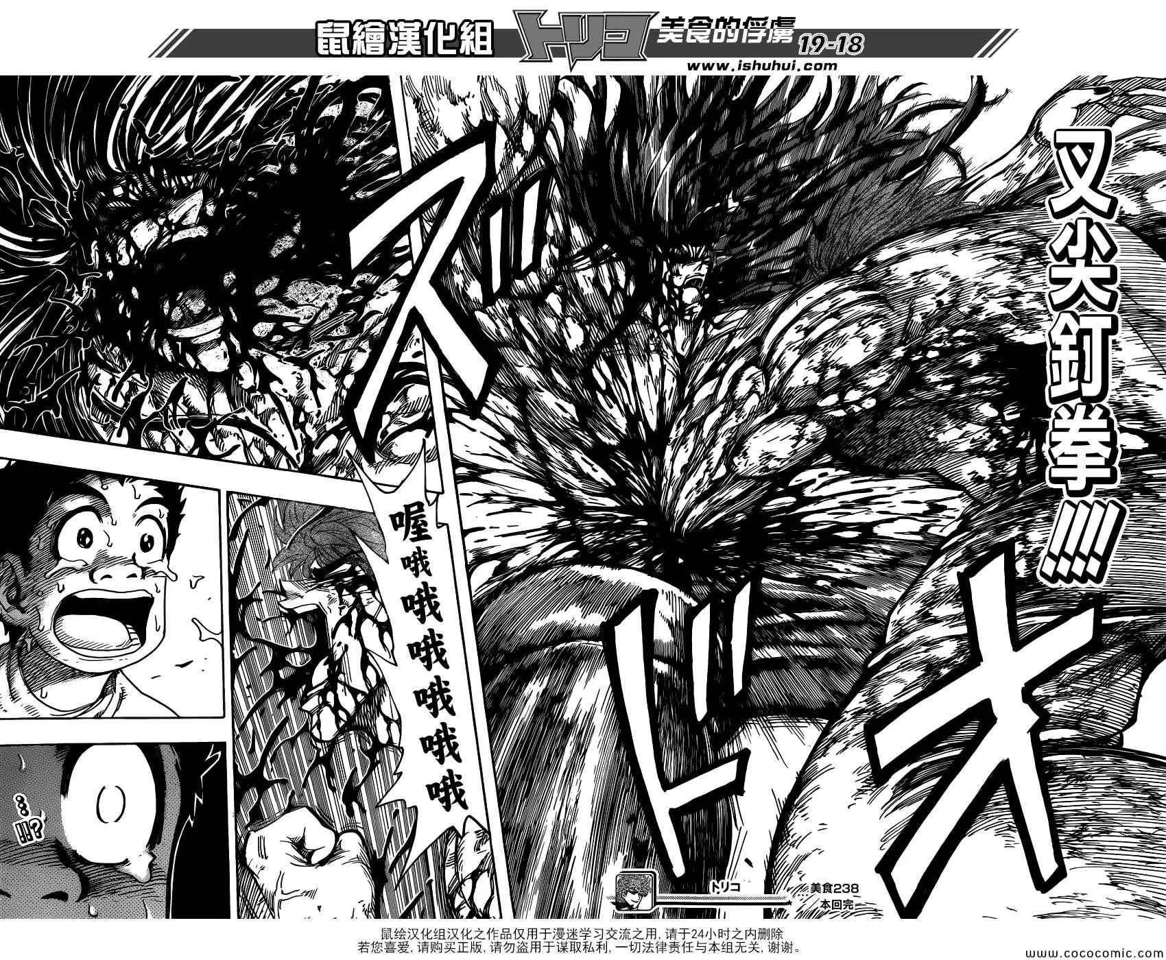 第238话 力量的极限！！ 第17页