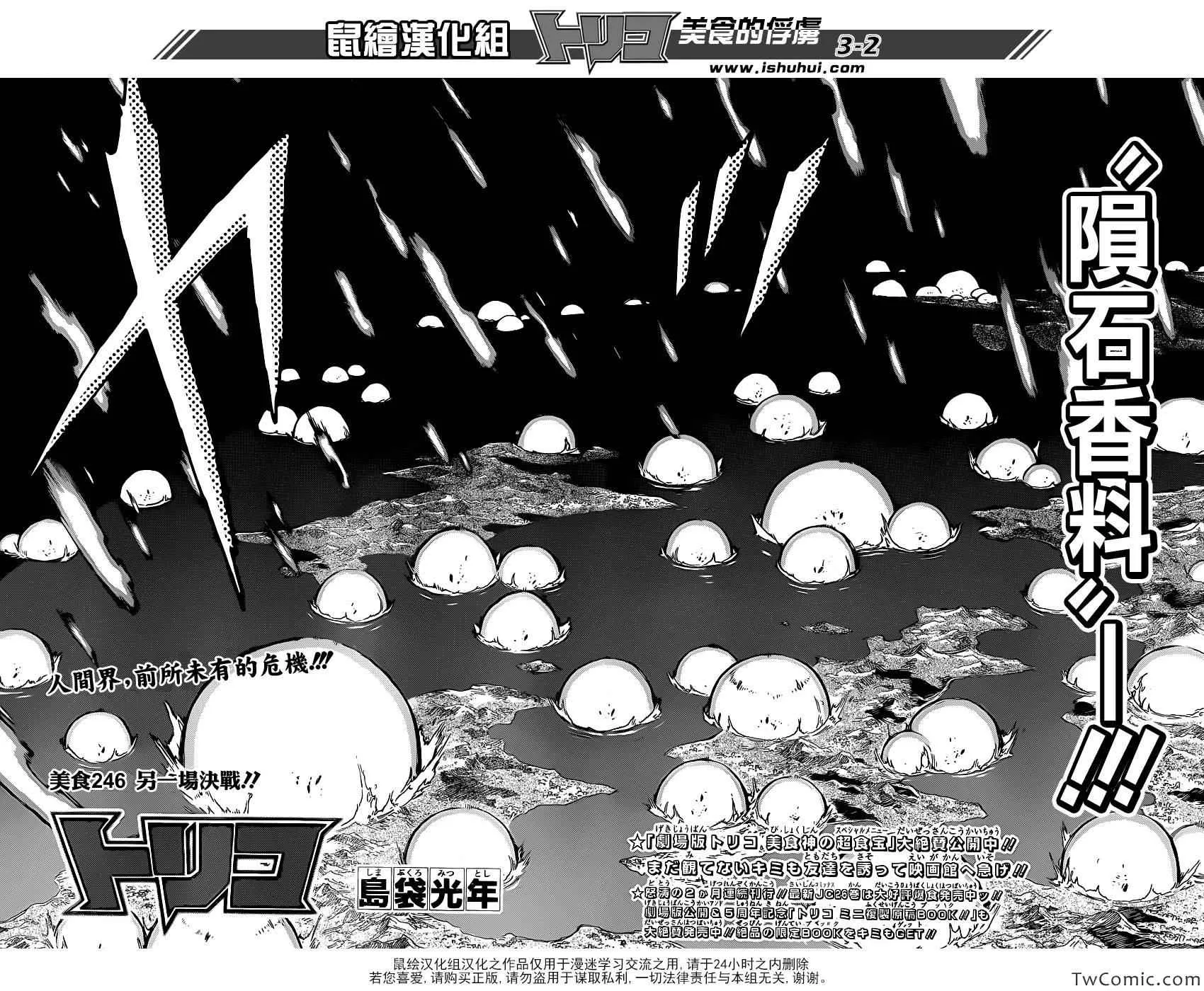第246话 另一场决战！！ 第2页
