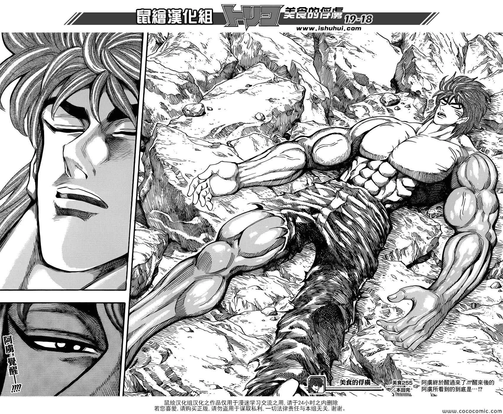 第255话 觉醒！！ 第17页