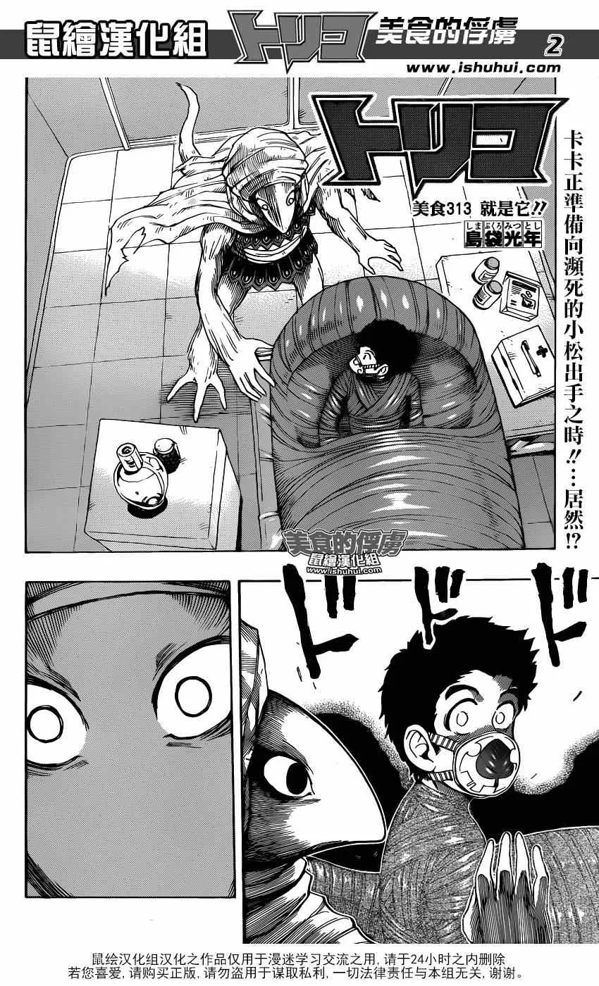 第313话 就是它 第2页