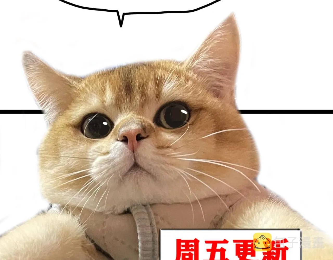 第48话 决定躯体！ 第100页