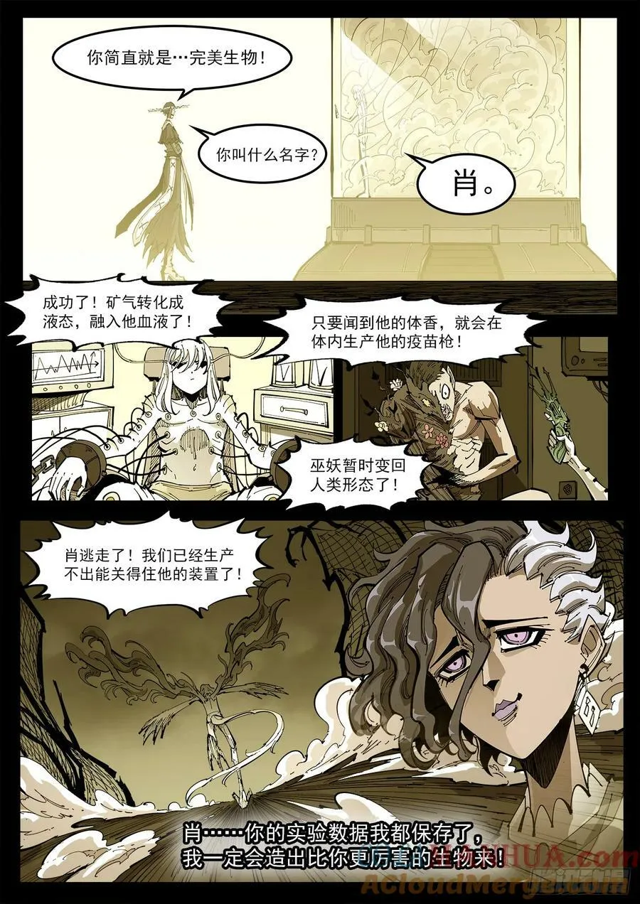347弹：肖 第12页