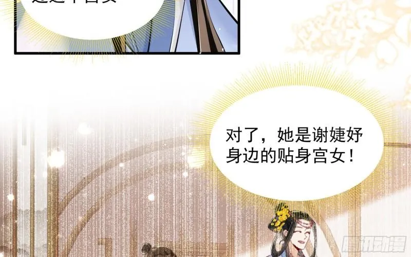 41 阴谋 第47页