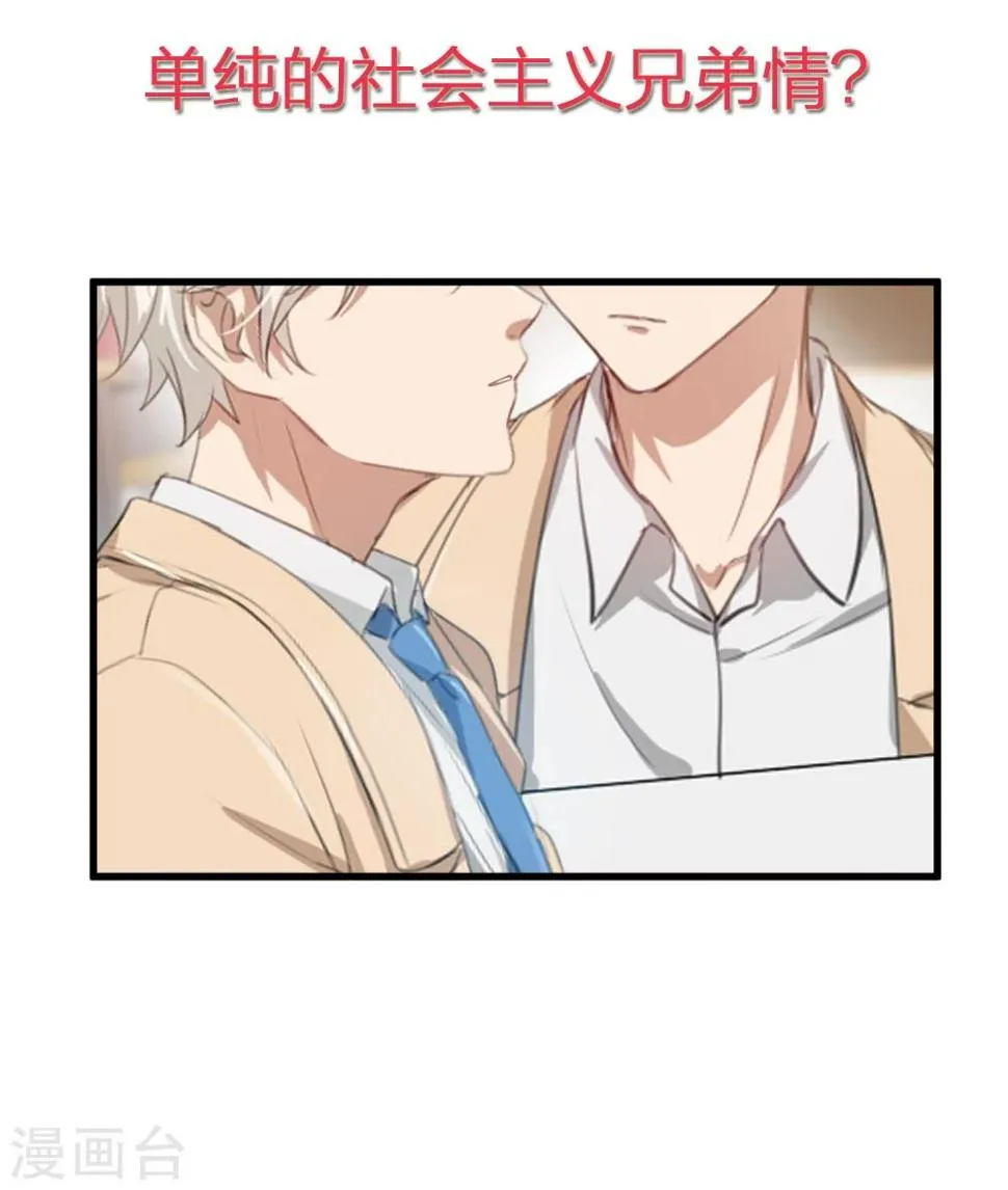 预告 第13页