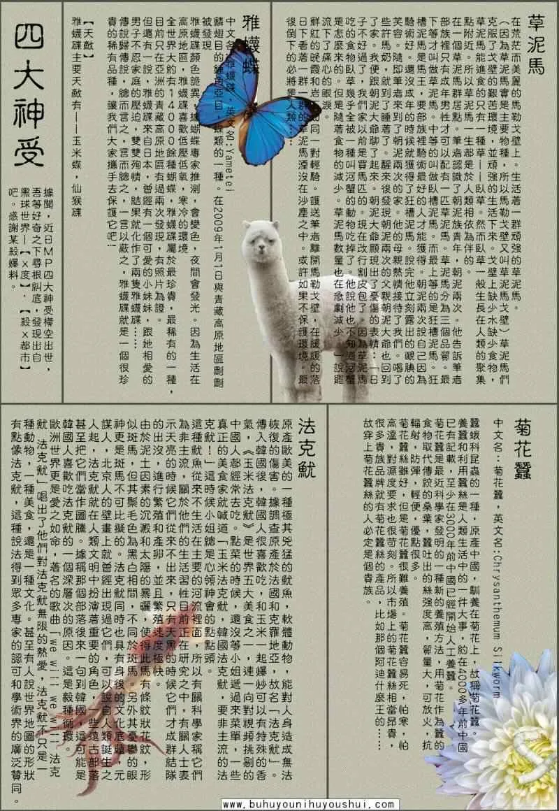 第289话 第13页