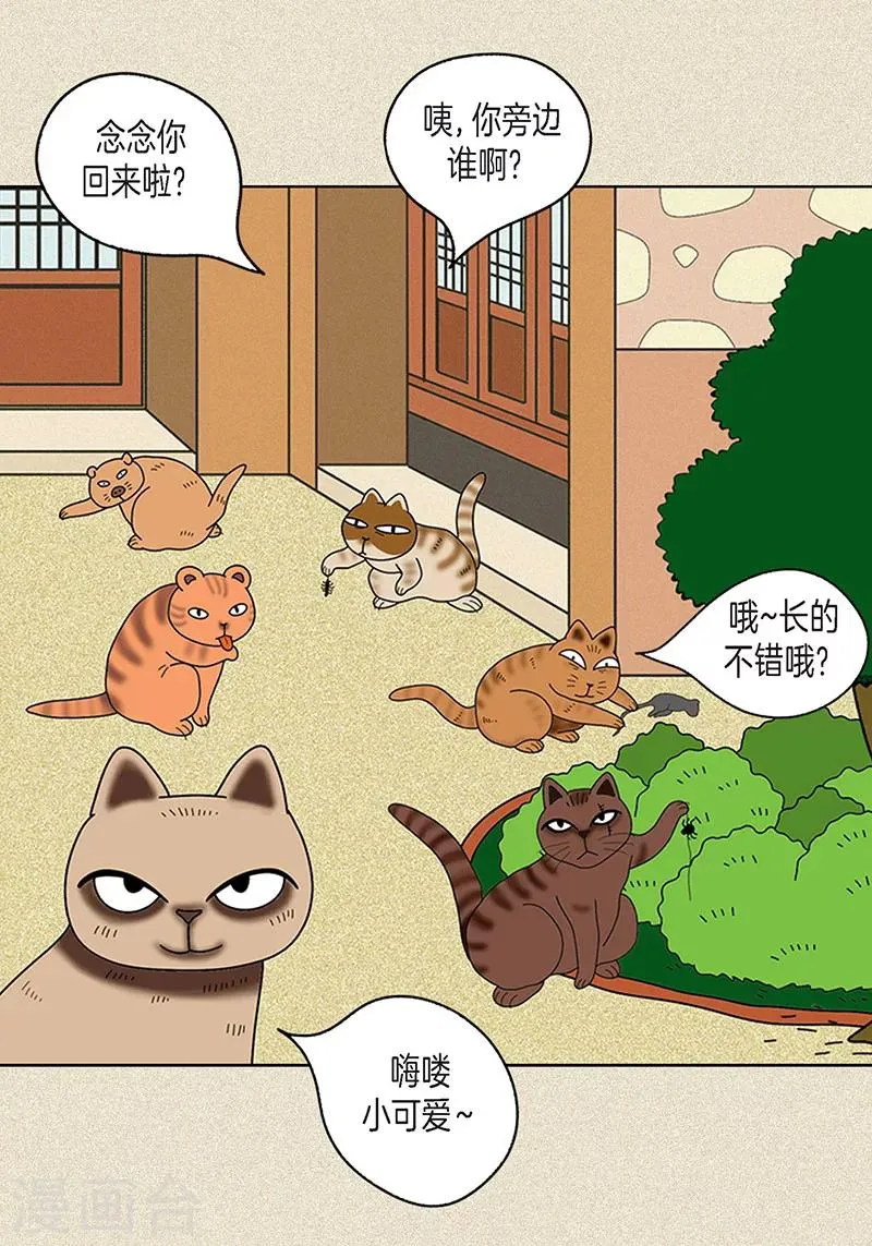 第16话 念念救我 第5页