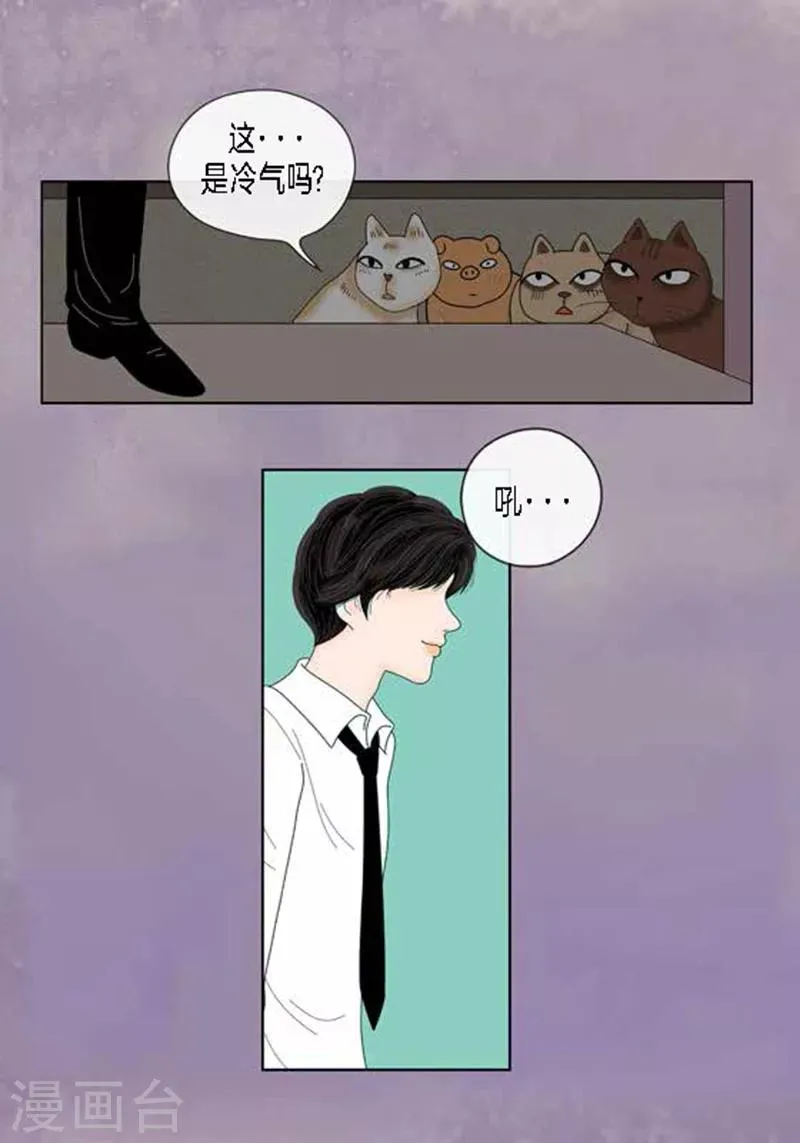 第54话 只不过是打猎 第19页