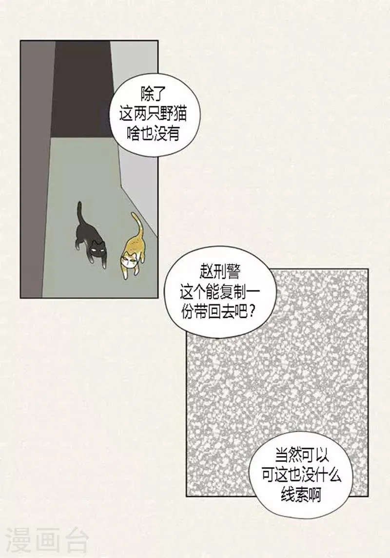 第54话 只不过是打猎 第22页