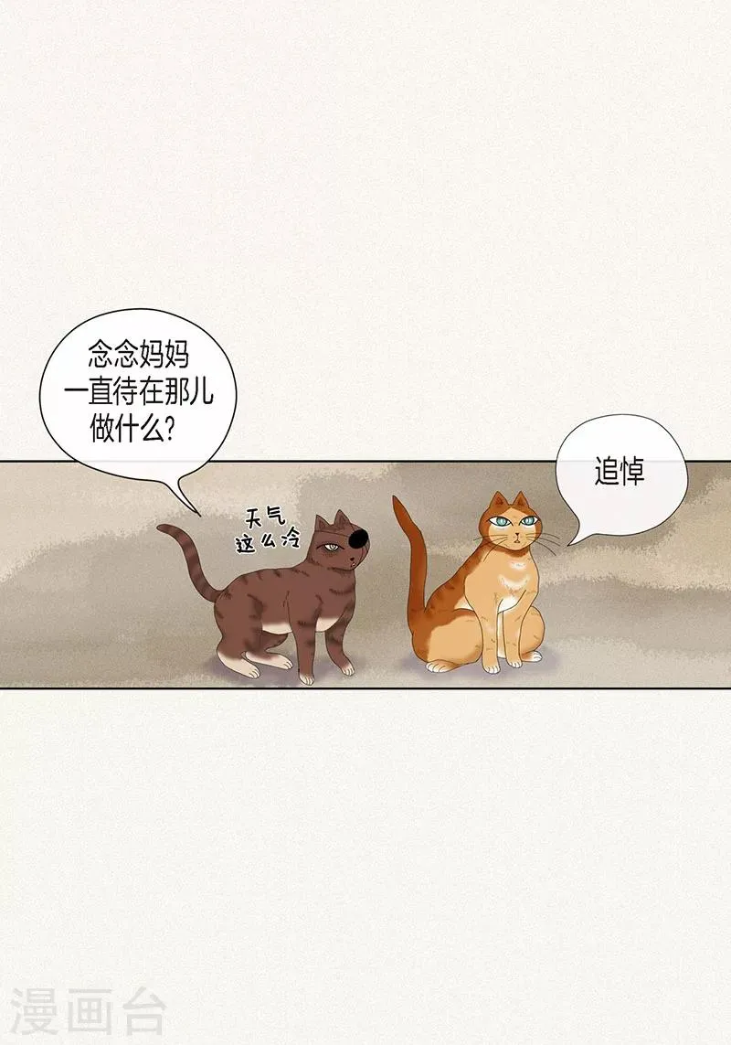最终话 成功 第40页