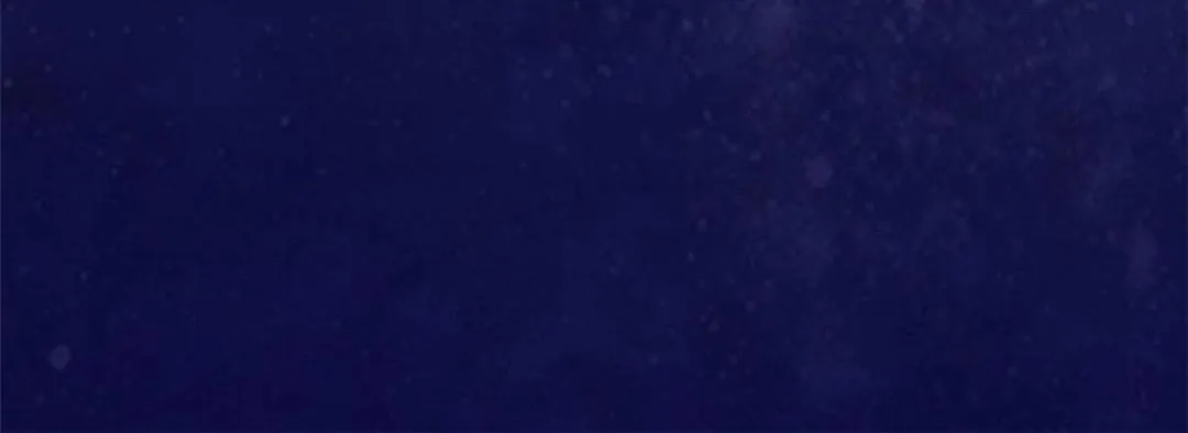 第32话 萧衡你真是个疯子 第101页