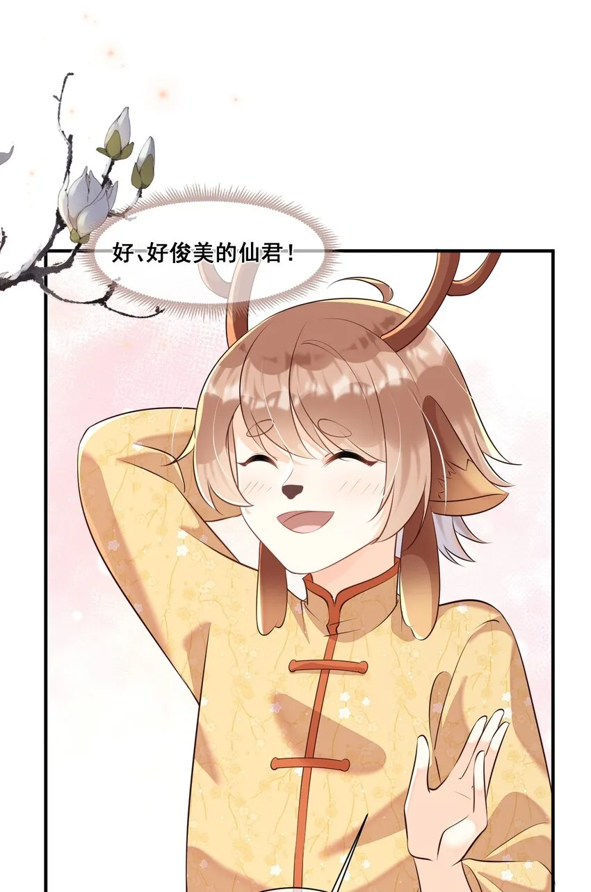 055 好俊美的仙君 第11页