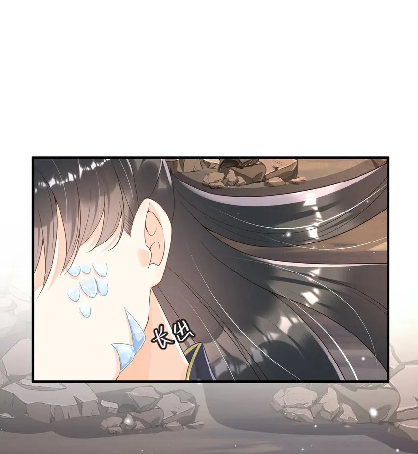 002 太美了！太惨了！ 第14页