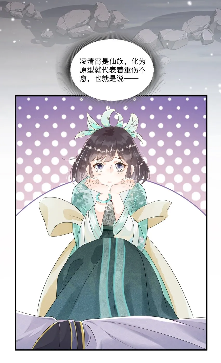 002 太美了！太惨了！ 第17页