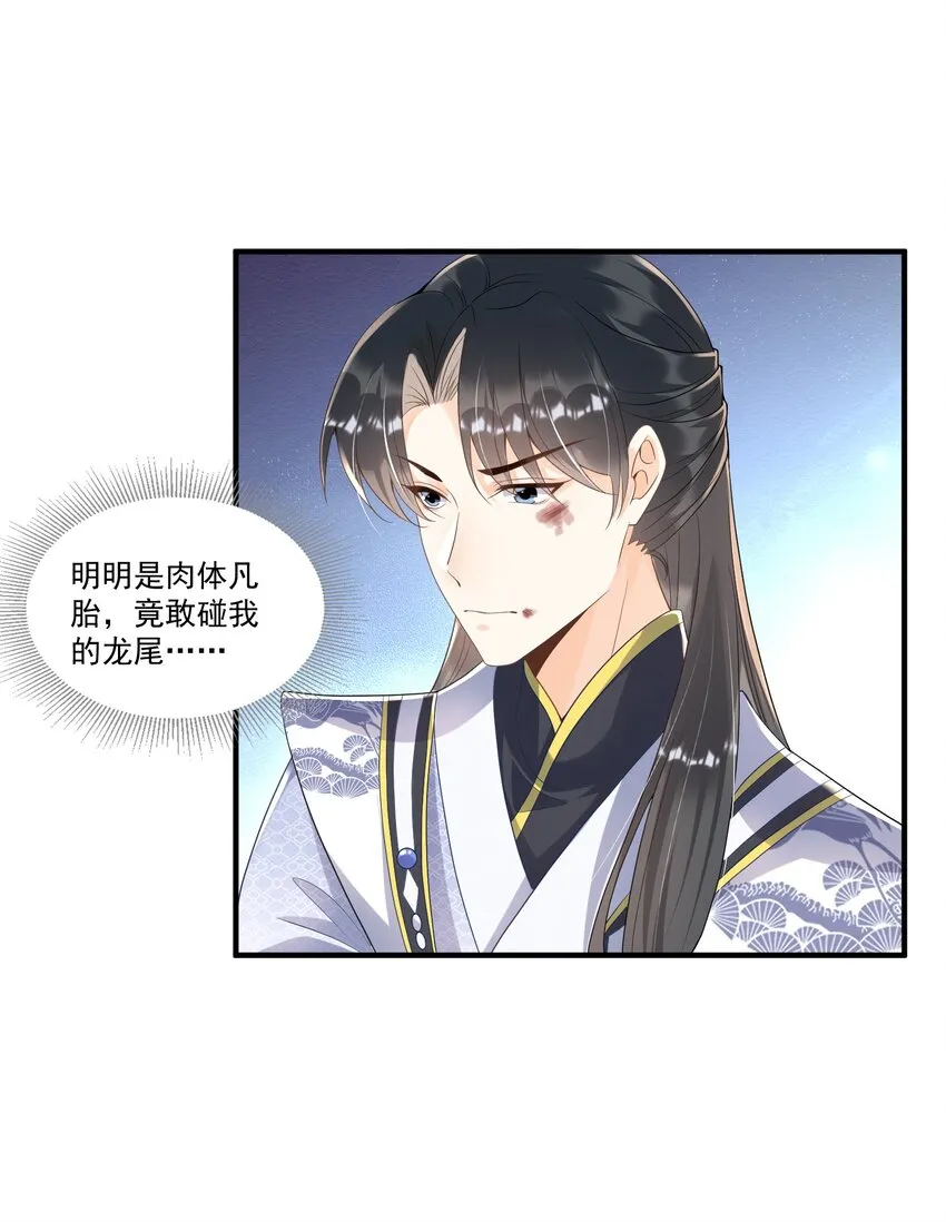 002 太美了！太惨了！ 第61页