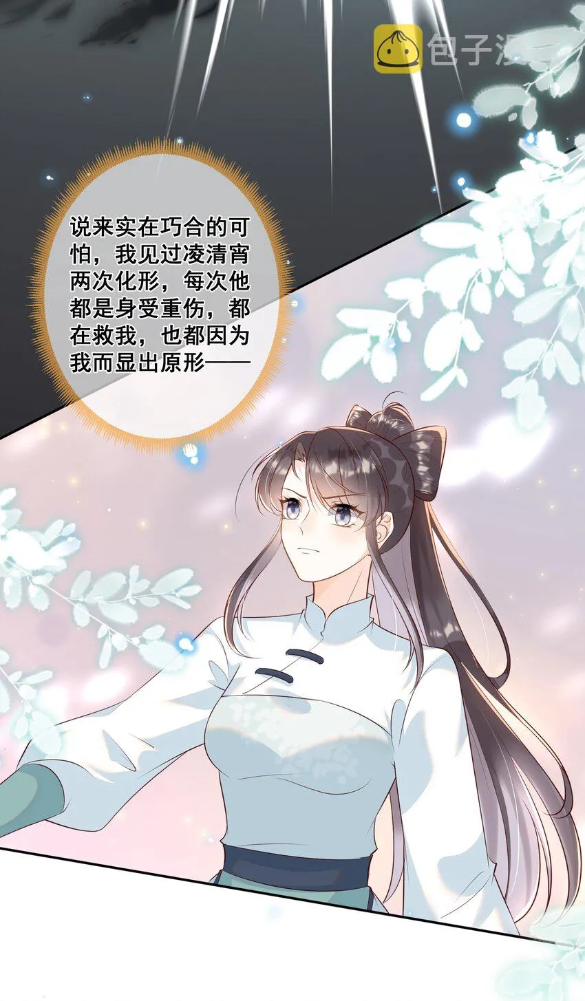051 这里的法则由我制定 第31页