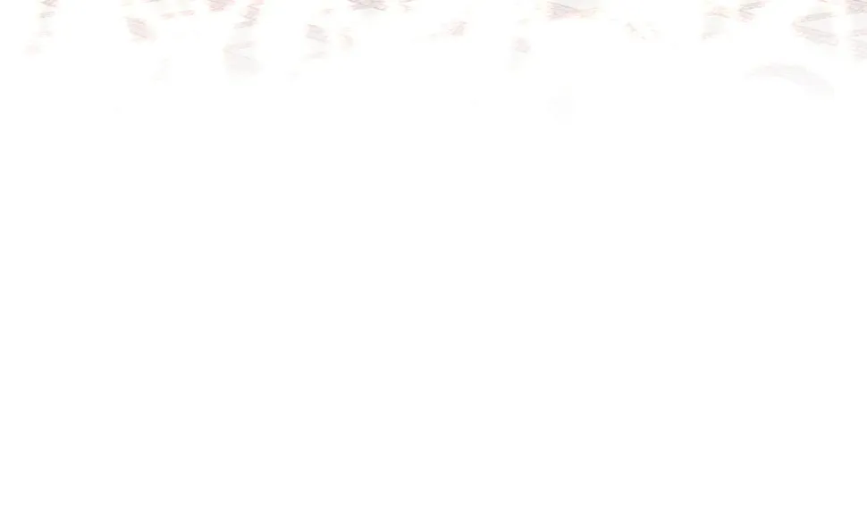 第30章 他的专属温暖 第95页