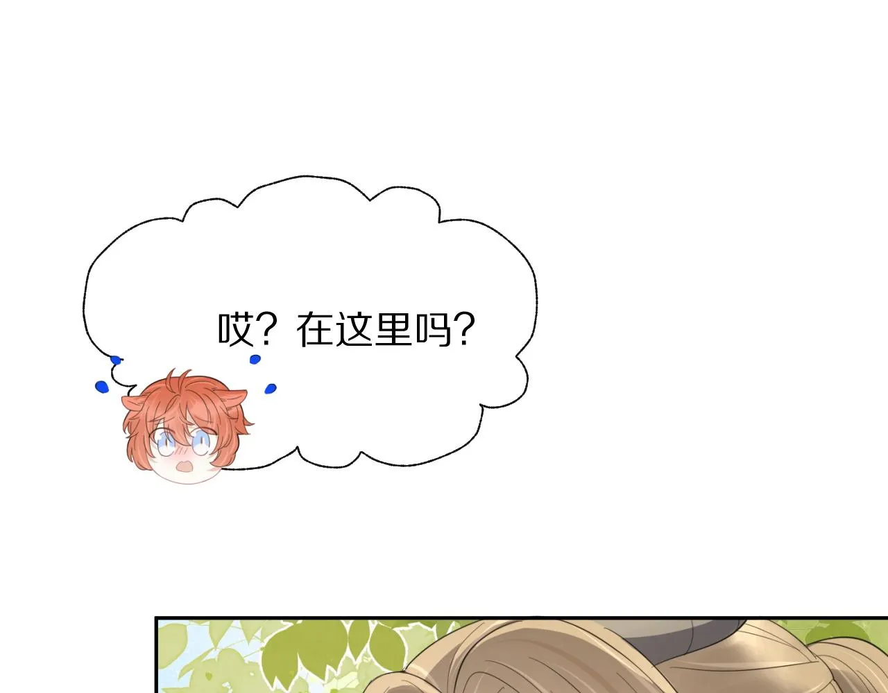 第42话 要不要奖励？ 第12页