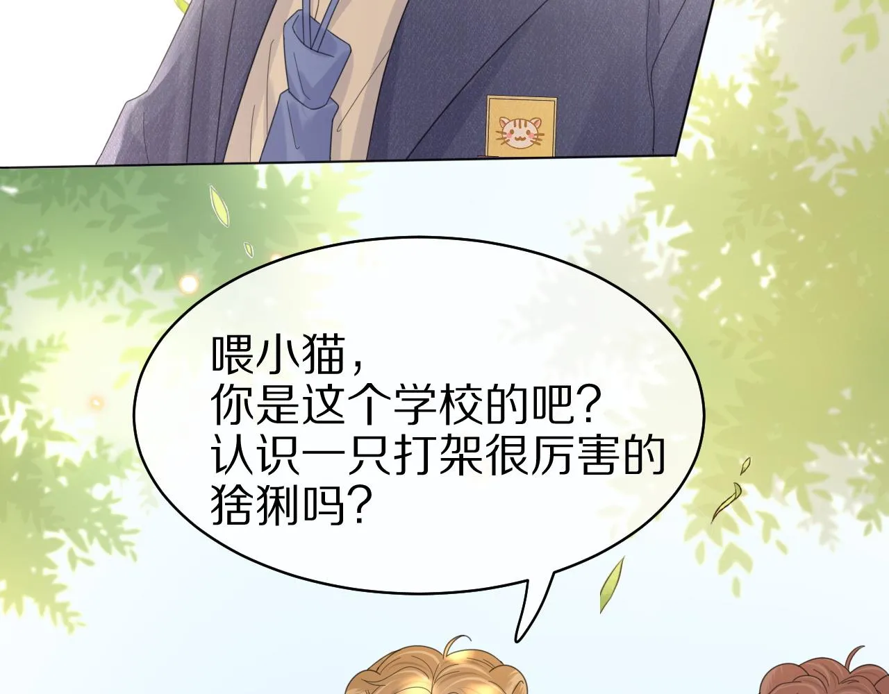第32话 小猫行动中 第81页