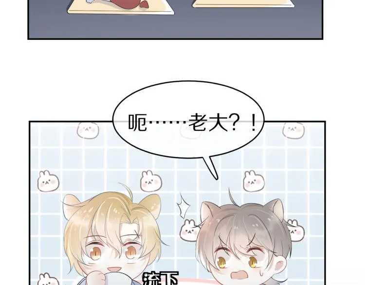 第4话 又被狮子救了？！ 第21页