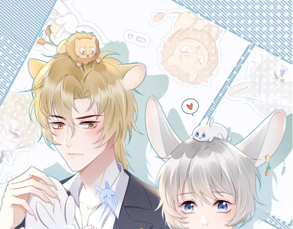 第5话 兔子都是萝卜做的 第1页