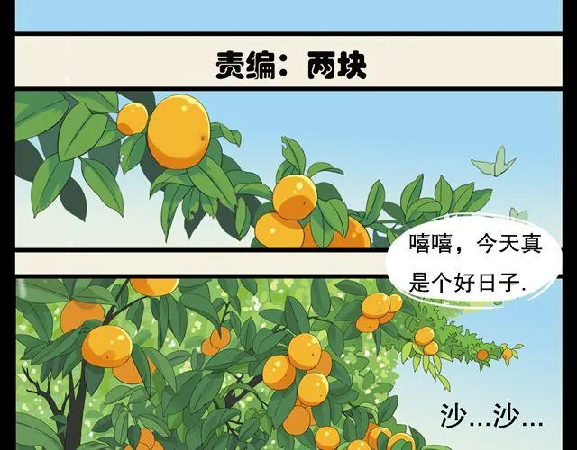 第1话 我是桔子大王！ 第3页