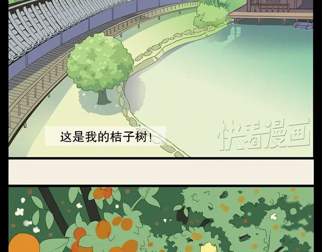 第1话 我是桔子大王！ 第9页